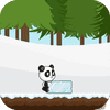 Christmas Panda Run